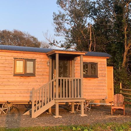 Lle Mary - Beautiful Views, Hot Tub, Secluded, Dog Welcome, Barmouth Llanddwywe Exteriér fotografie