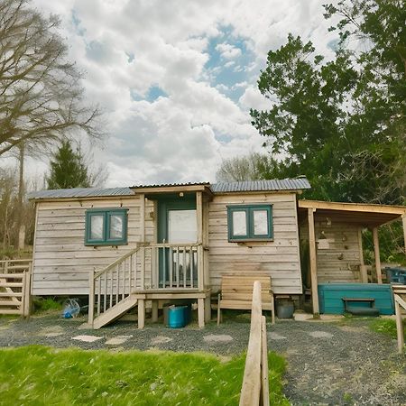 Lle Mary - Beautiful Views, Hot Tub, Secluded, Dog Welcome, Barmouth Llanddwywe Exteriér fotografie