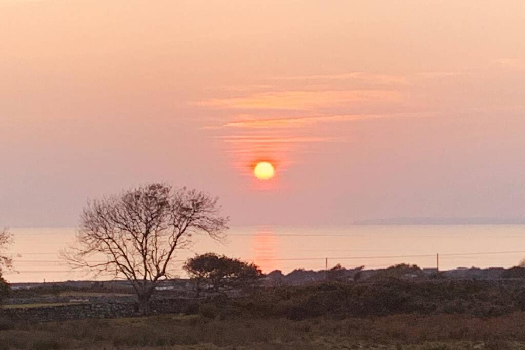 Lle Mary - Beautiful Views, Hot Tub, Secluded, Dog Welcome, Barmouth Llanddwywe Exteriér fotografie