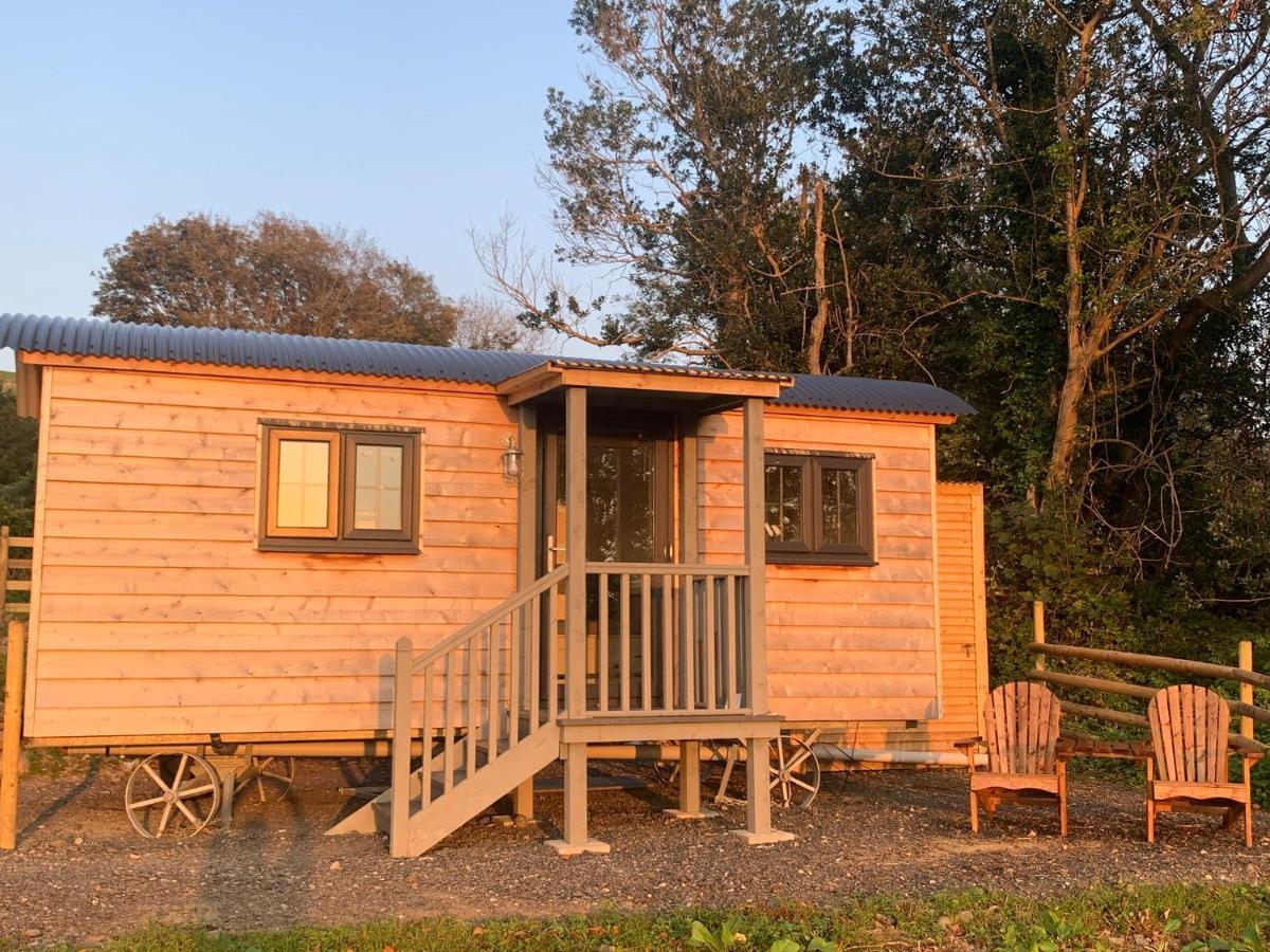Lle Mary - Beautiful Views, Hot Tub, Secluded, Dog Welcome, Barmouth Llanddwywe Exteriér fotografie