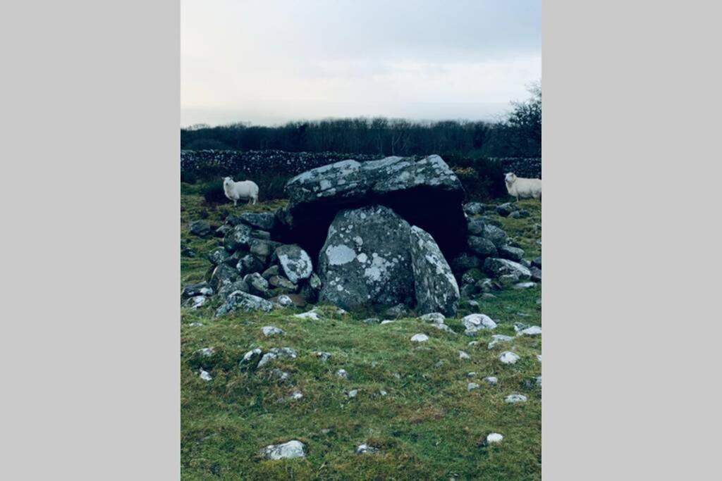 Lle Mary - Beautiful Views, Hot Tub, Secluded, Dog Welcome, Barmouth Llanddwywe Exteriér fotografie