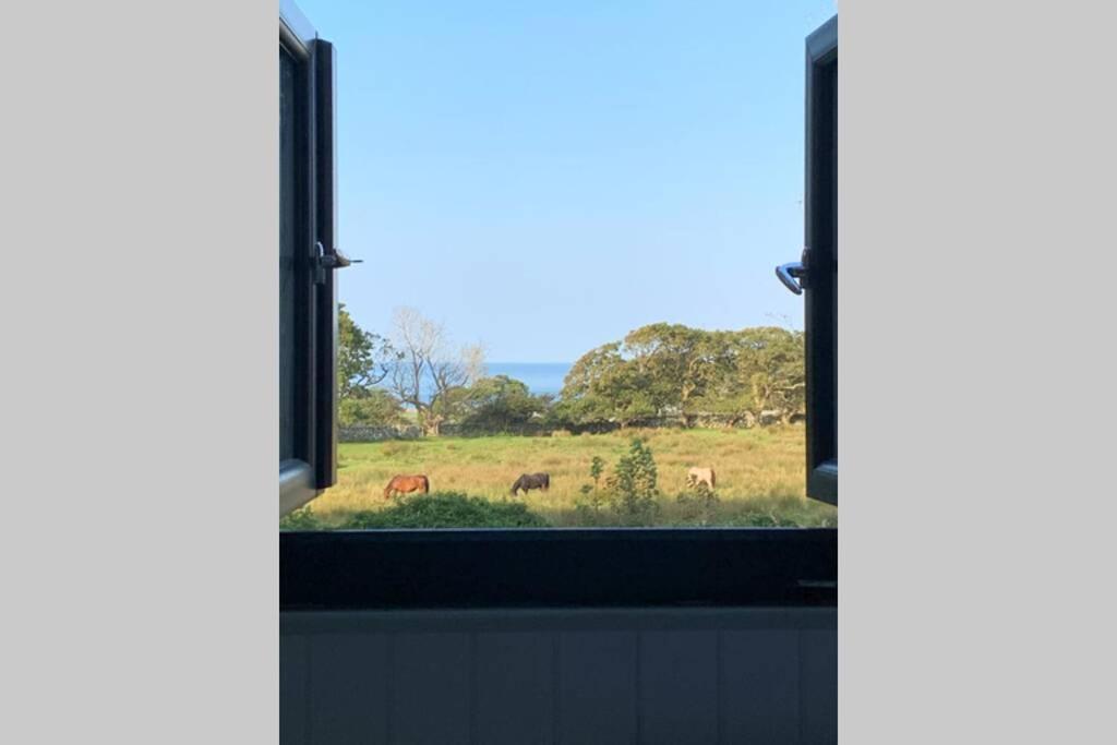 Lle Mary - Beautiful Views, Hot Tub, Secluded, Dog Welcome, Barmouth Llanddwywe Exteriér fotografie